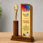 Teamwork Star Trophy - 2358