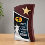 Star Performer Trophy With Dual Finish - 2661