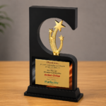 Shooting Star Frame Trophy - 2373