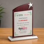 Silver Star Wooden Plaque - 2594