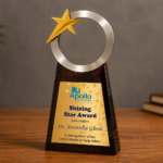 Shining Star Appreciation Trophy - 2279