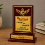Trophy - TFD- (Copy) (Copy) (Copy) (Copy) (Copy) (Copy)